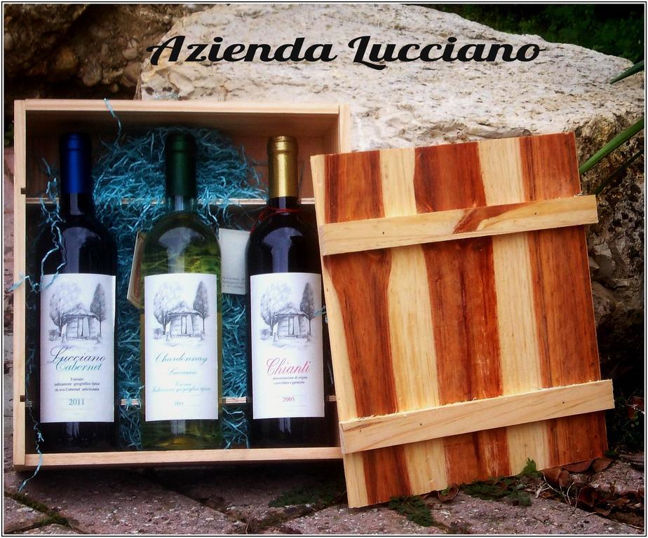Agriturismo Lucciano San Casciano in Val di Pesa Pokój zdjęcie