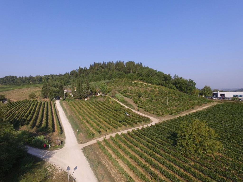 Agriturismo Lucciano San Casciano in Val di Pesa Zewnętrze zdjęcie