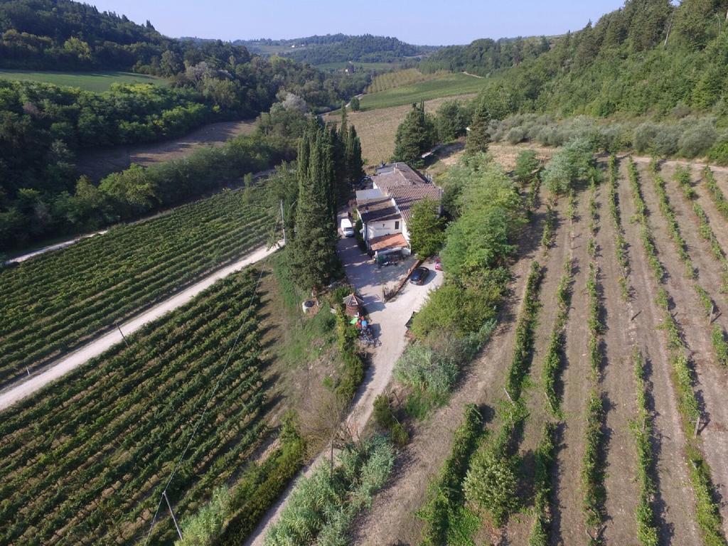 Agriturismo Lucciano San Casciano in Val di Pesa Zewnętrze zdjęcie