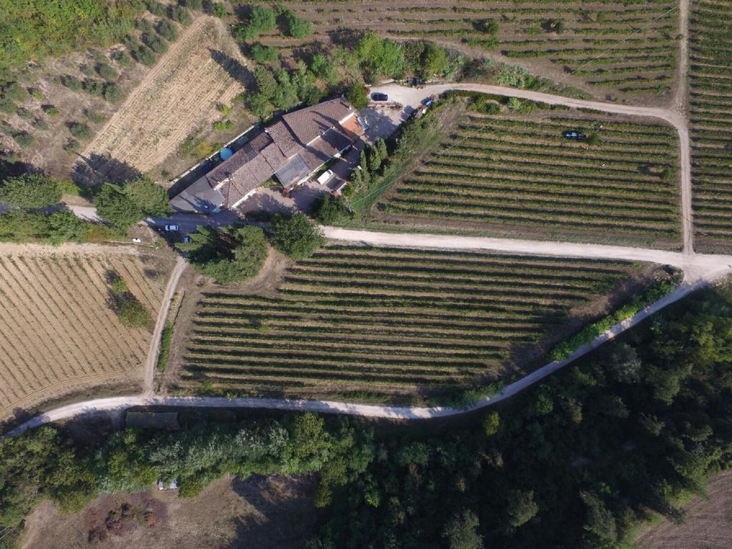 Agriturismo Lucciano San Casciano in Val di Pesa Zewnętrze zdjęcie