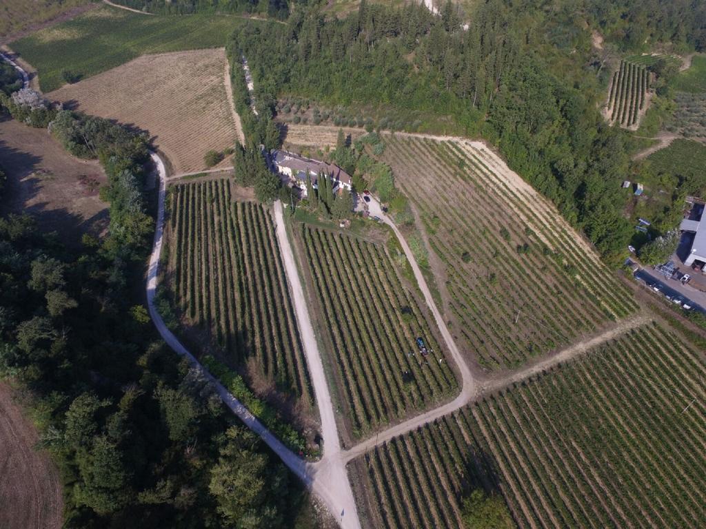 Agriturismo Lucciano San Casciano in Val di Pesa Zewnętrze zdjęcie